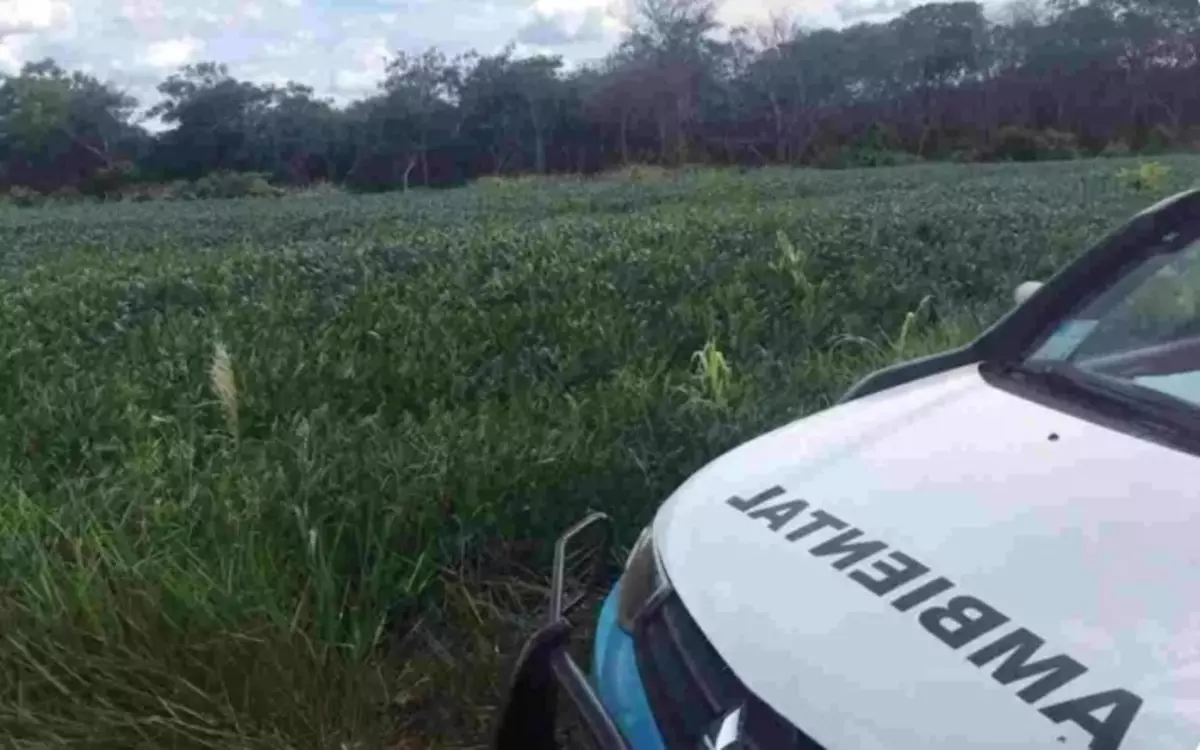 Quatro policiais militares ambientais de Naviraí, que trabalhavam na operação Pesca Legal, salvassem dois pescadores (divulgação)