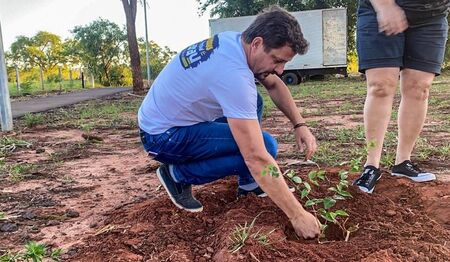 Secretario Eduard Romero no plantio de Guavira