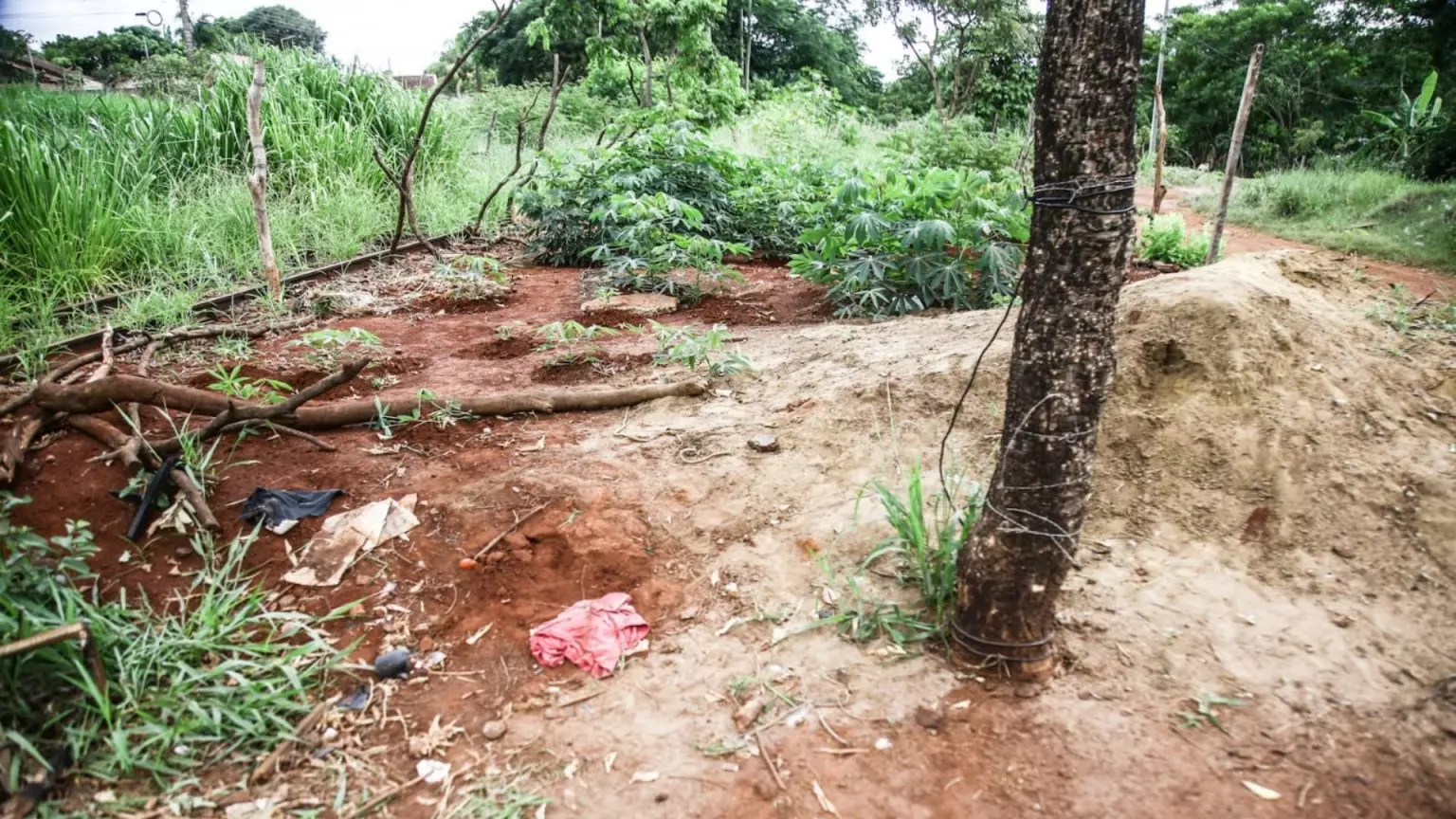 Acidente aconteceu em uma viela que dá acesso a uma comunidade. (Foto: Henrique Arakaki / Midiamax)