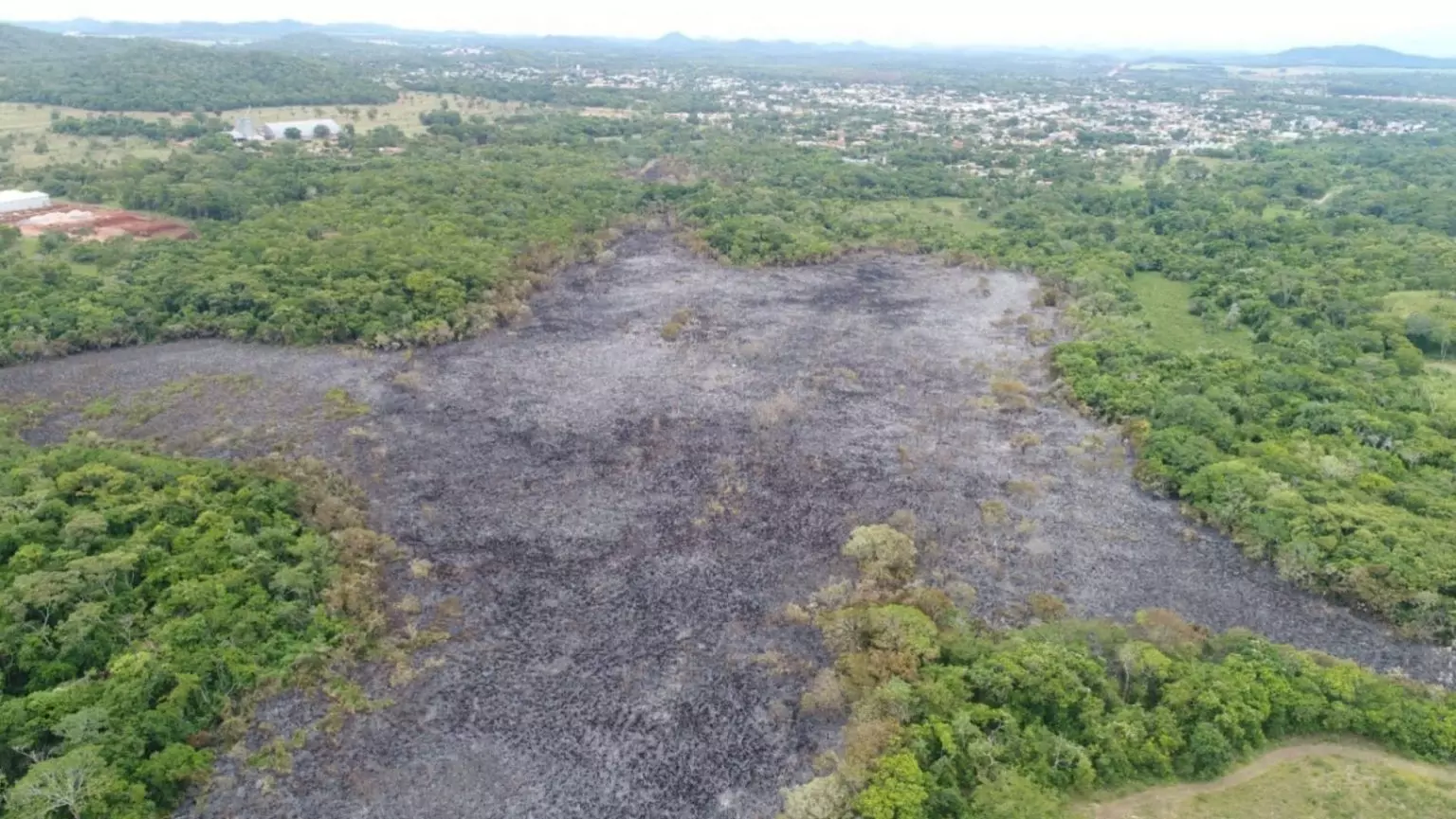 Área incendiada em Bonito (Foto: Divulgação)