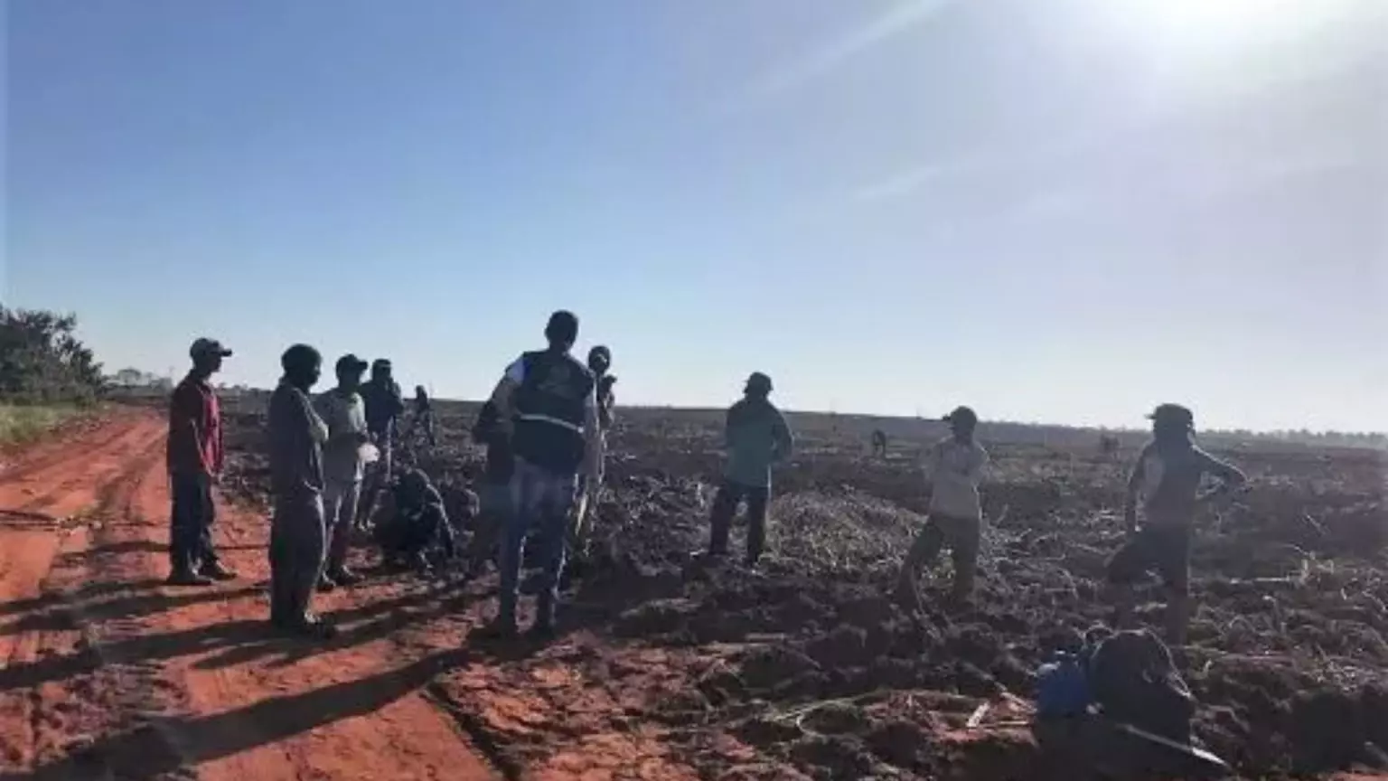 Mais de 100 pessoas foram resgatadas de trabalho análoga à escravidão em MS. (Foto: Divulgação MPT/MS)