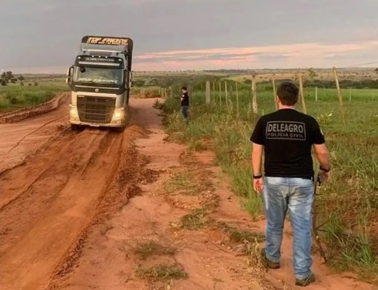 O rebanho estava em uma propriedade rural no município de Rio Verde-GO (divulgação)