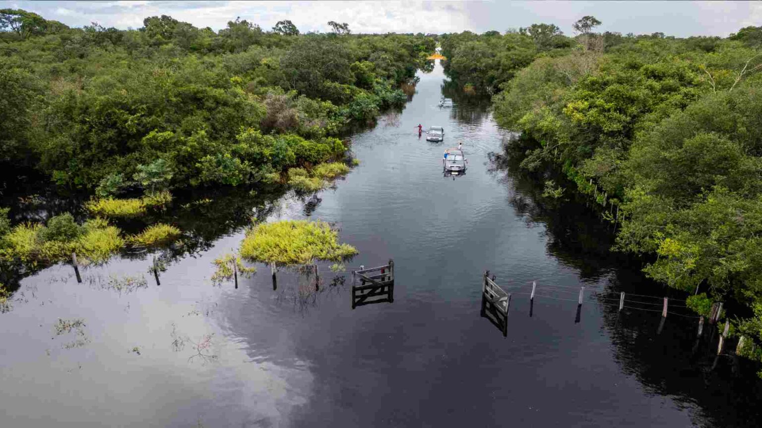 Imagem aérea do Pantanal em período de cheia. (Foto: Reprodução, Andre Bittar)