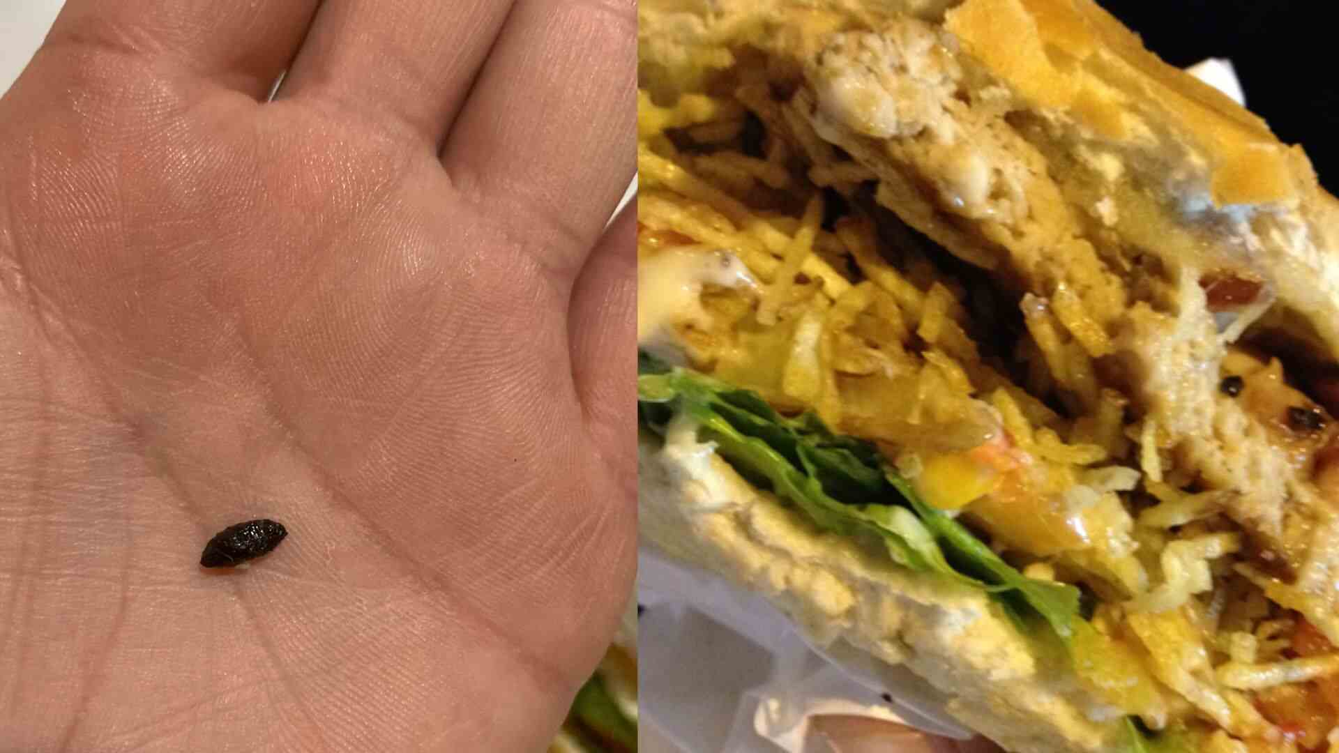 Cliente encontra possível fezes de rato dentro de lanche e reclama (Foto: Arquivo Pessoal e Ilustrativa)