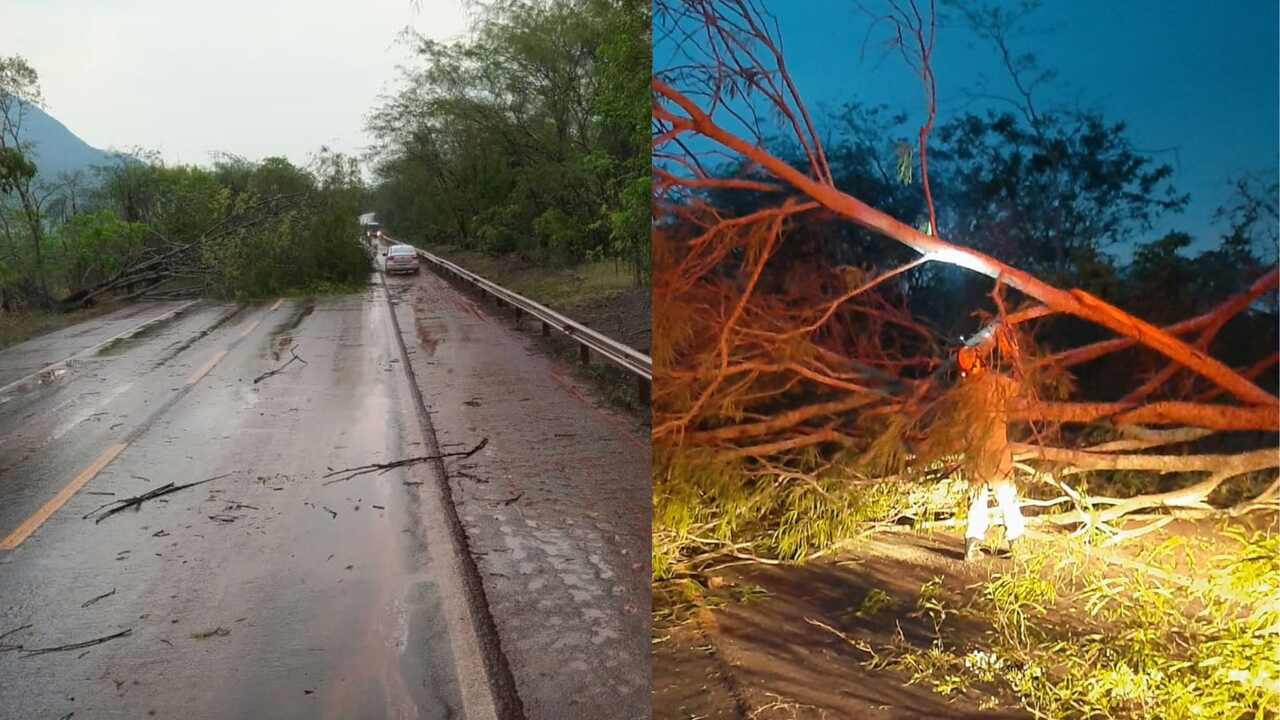 Árvores estavam obstruindo a rodovia (Divulgação, CBBMS)