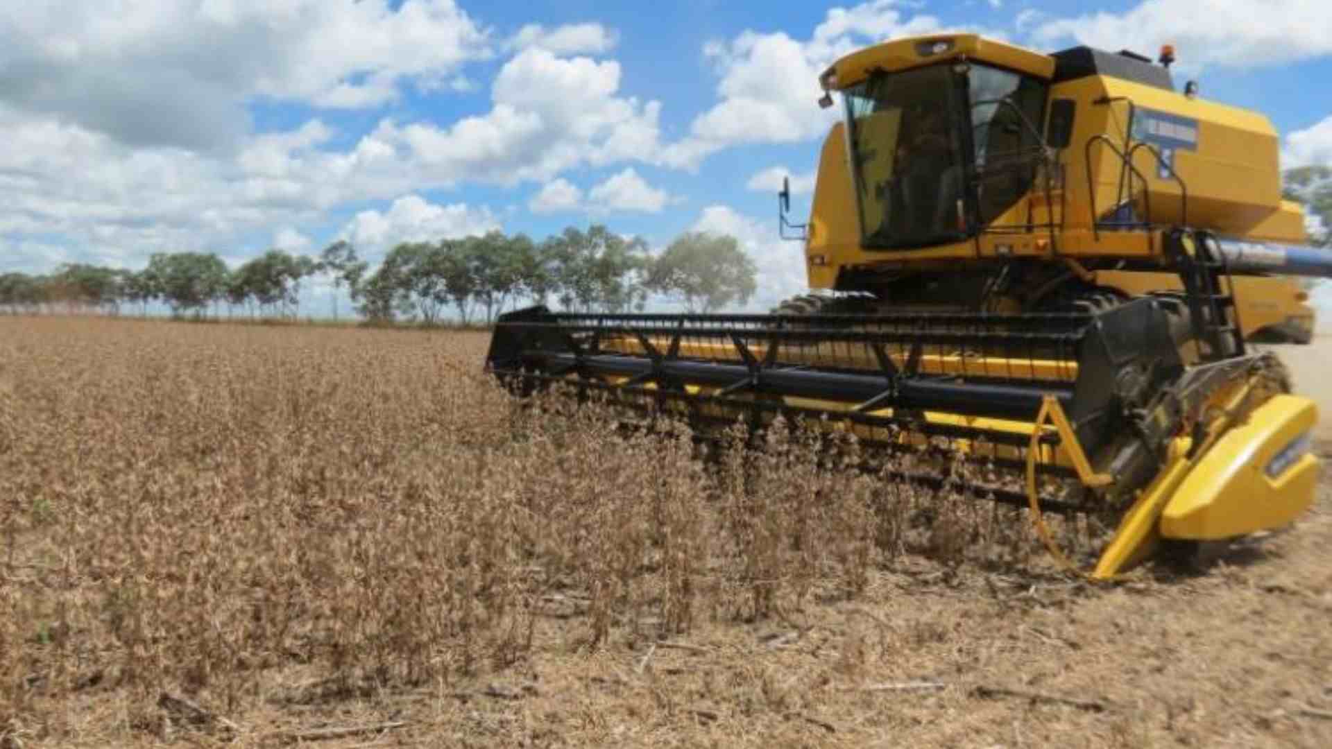 Colheita de soja. (Divulgação, Aprosoja/MS)