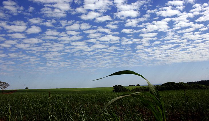 Foto: Governo de MS