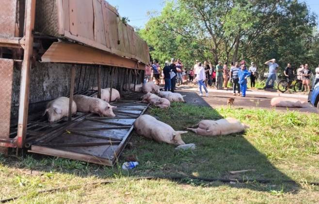 Foto: Sidnei Bronka/Ligado na Not&iacute;cia