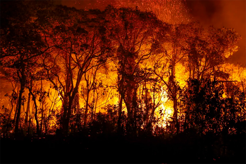 Foto: Portal do Marcos Santos