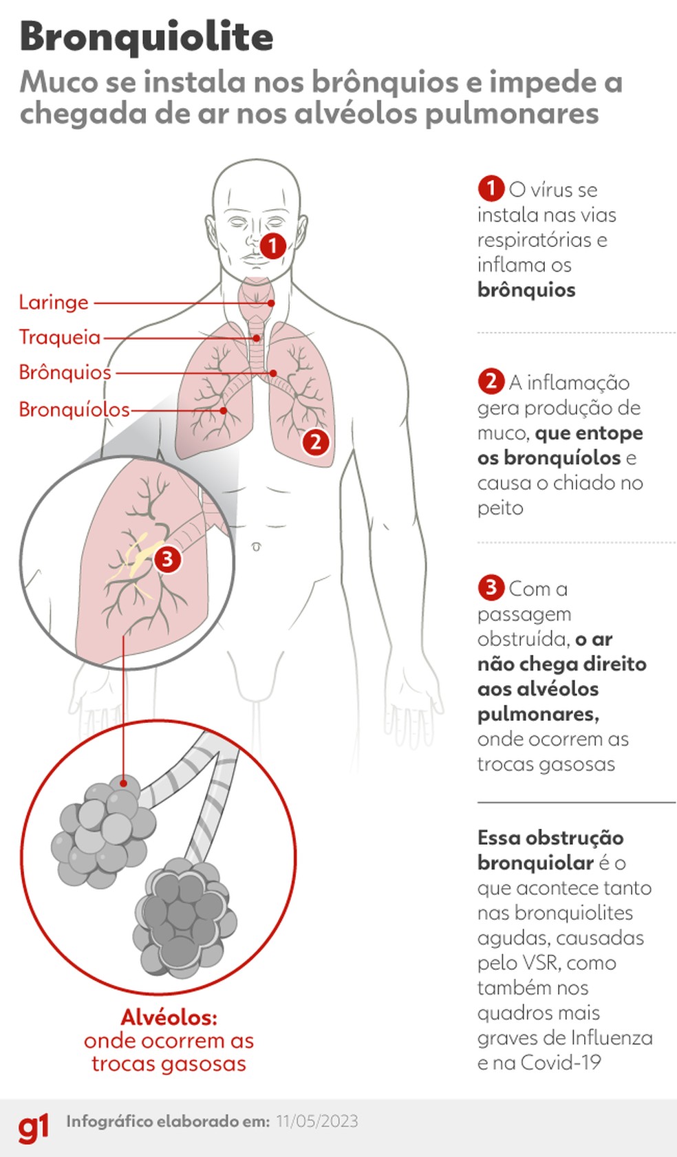 Foto: G1 - Globo.com