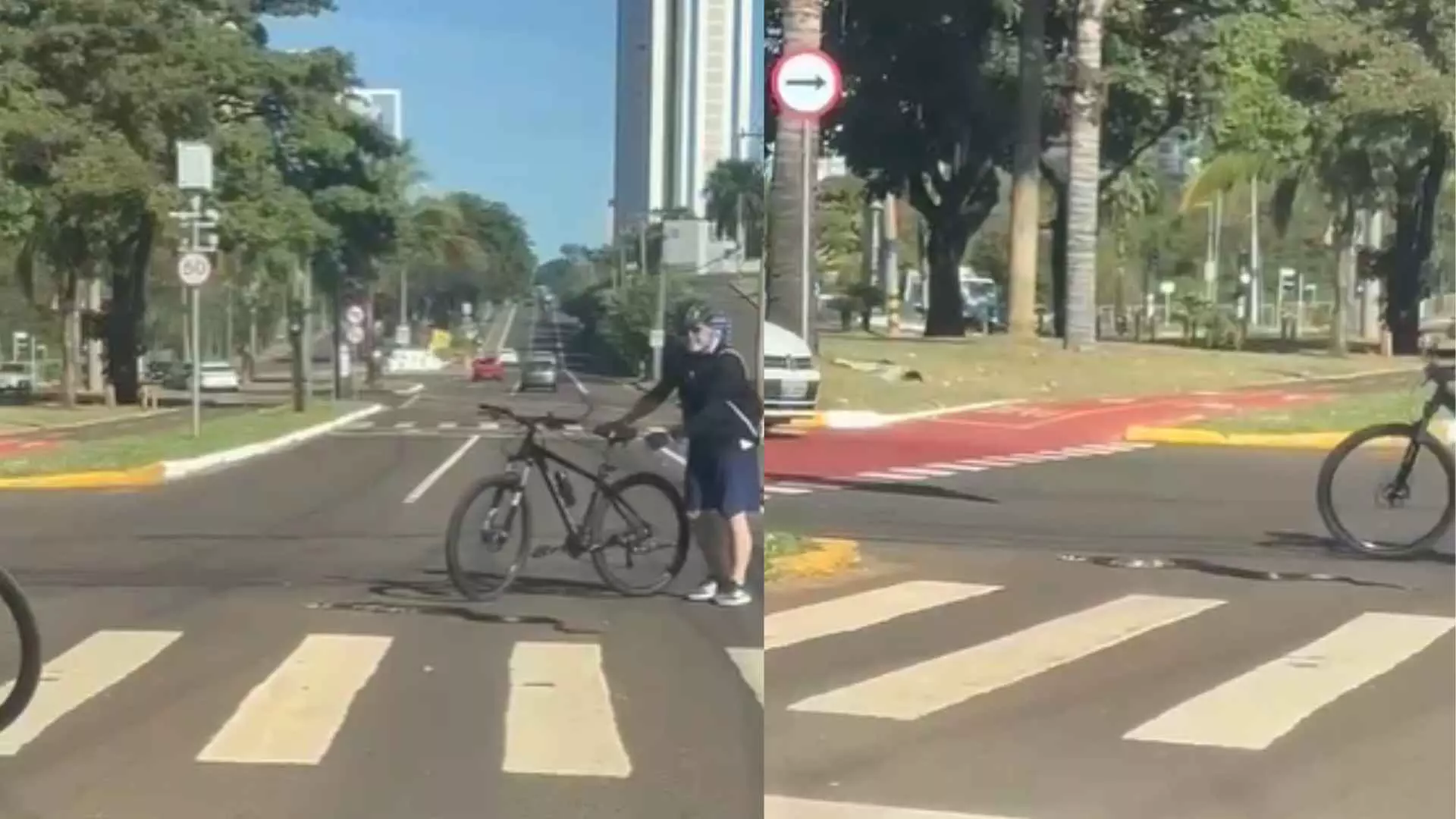 Cobra na Avenida Afonso Pena (Leitor Midiamax).