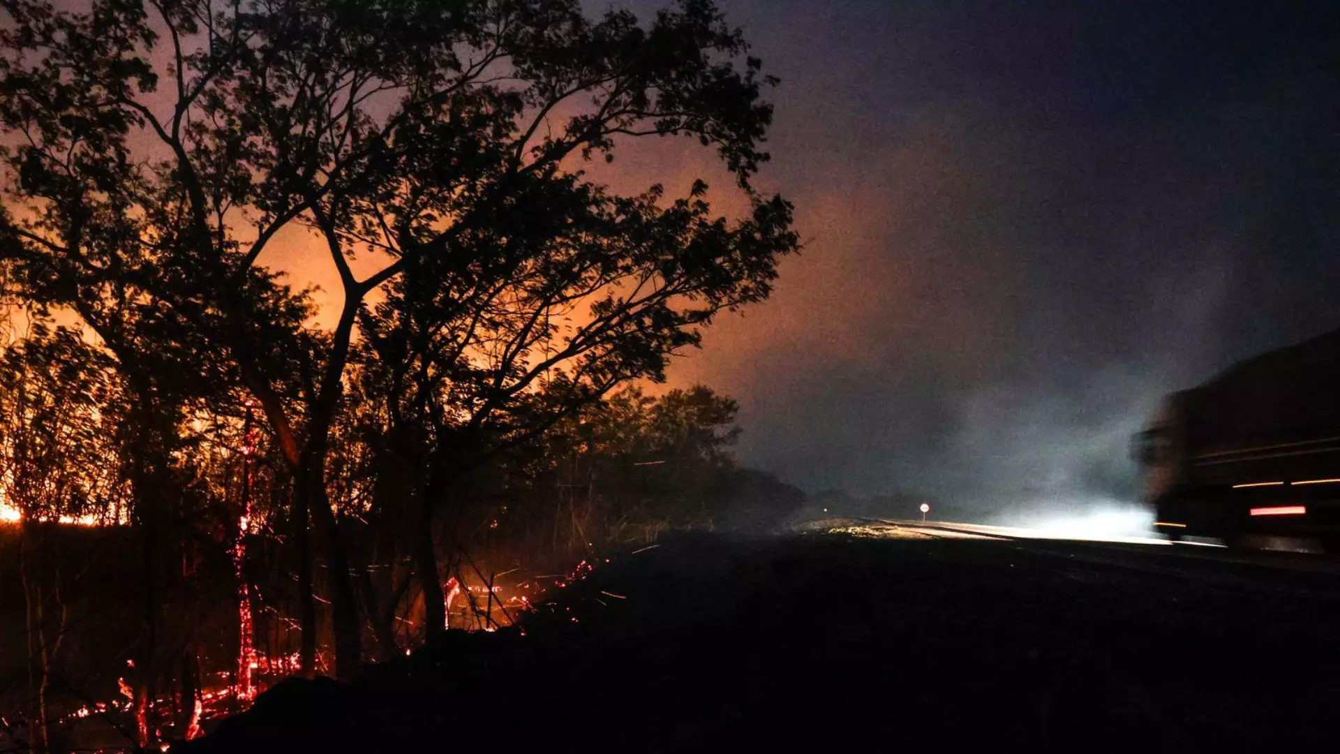 Fogo na margem da BR-262 (Foto: Henrique Arakaki/Midiamax)