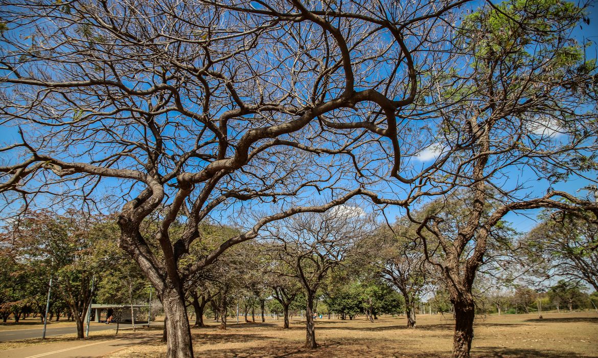 Foto: Agência Brasil - EBC