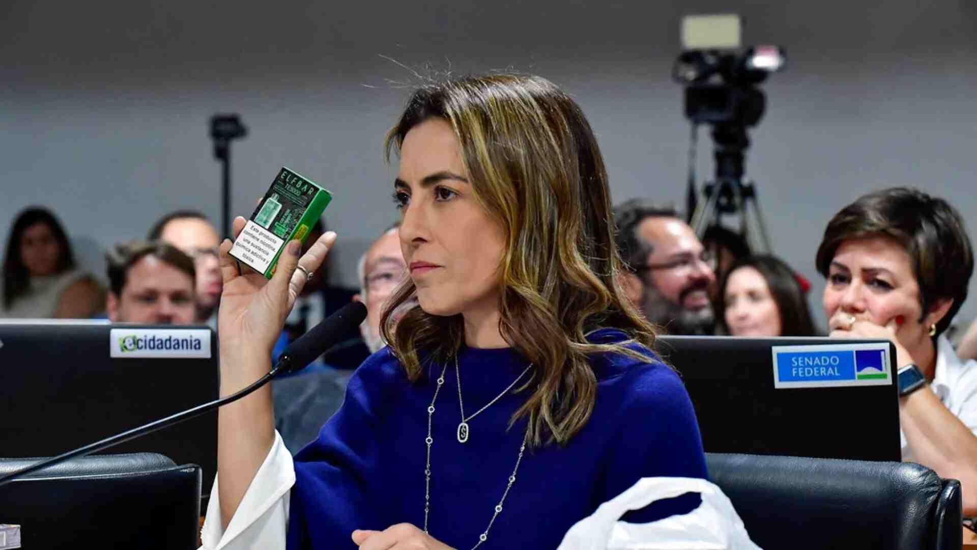 Senadora Soraya durante audiência em 21 abril