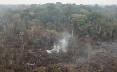 Foto: Agência Brasil - EBC