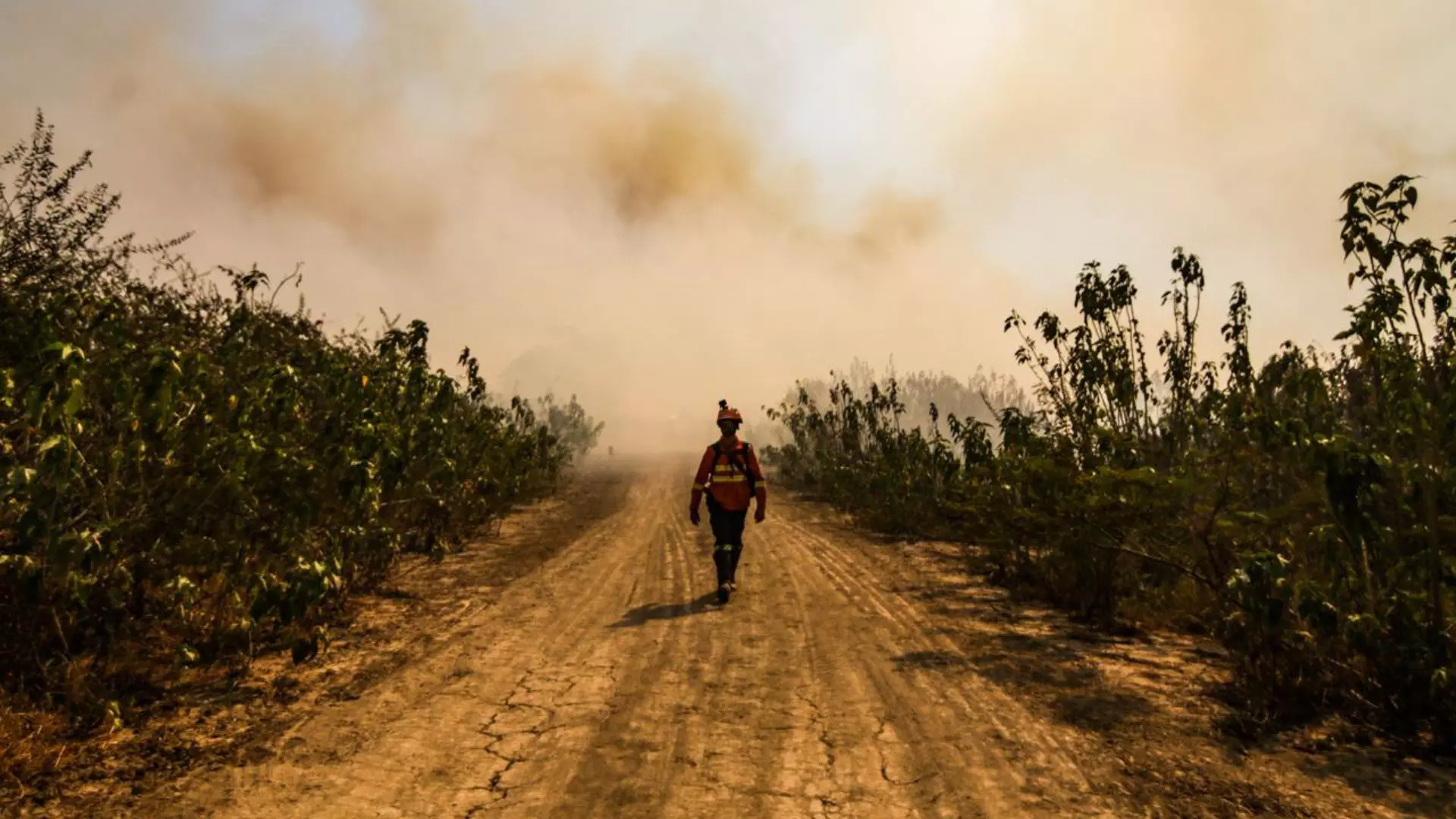 (Foto: Henrique Arakaki/Jornal Midiamax)