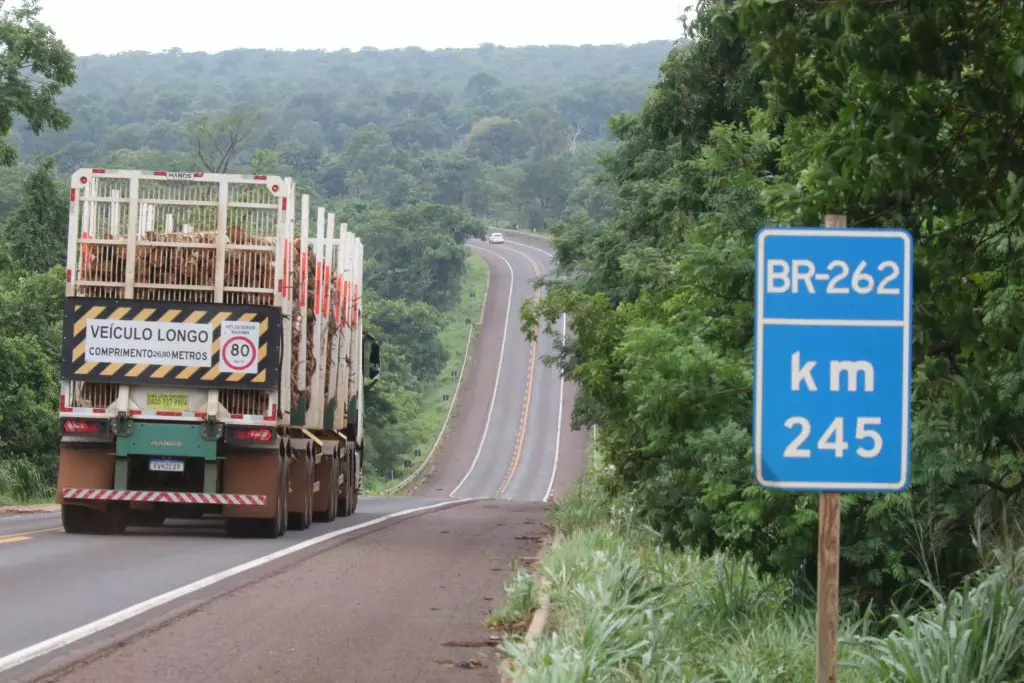 Rodovia BR-262, em Mato Grosso do Sul (Foto: Edemir Rodrigues/EPE)