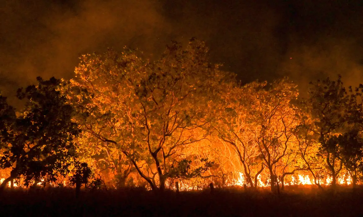 Foto: Agência Brasil - EBC