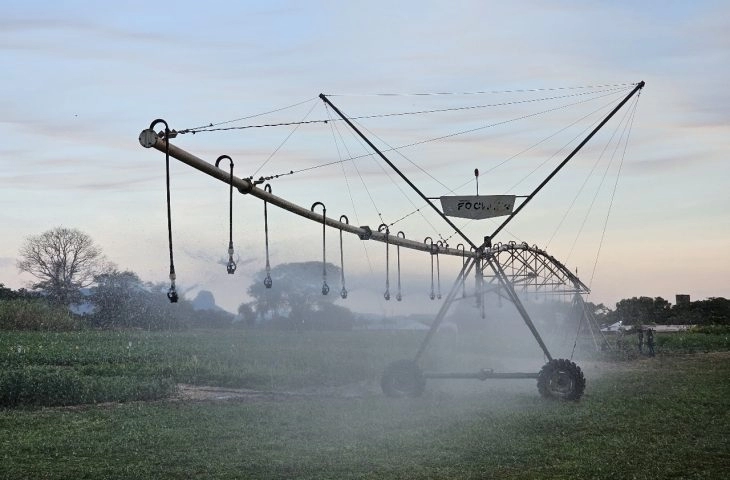 Foto: Afrânio Pissini