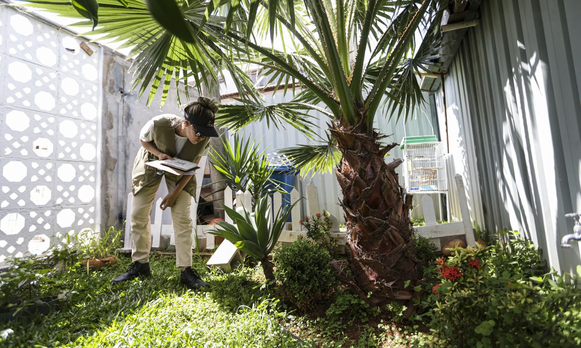 Foto: Agência Brasil - EBC