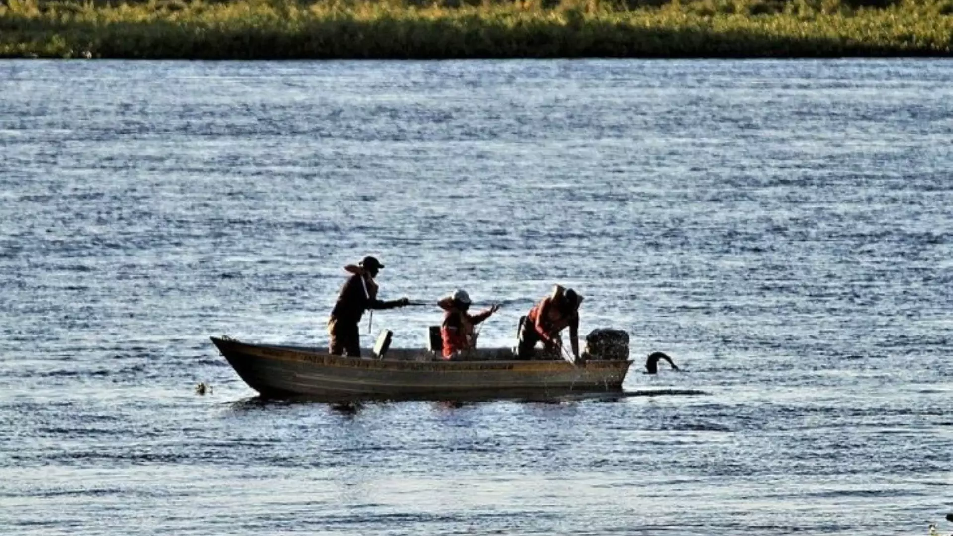 Pescadores amadores precisam de licença ambiental. (Foto: Saul Schramm / Governo MS)