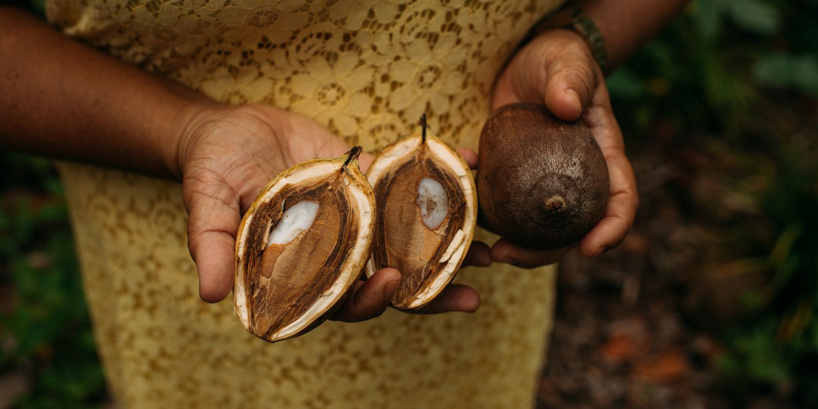 Foto: Agência Brasil - EBC