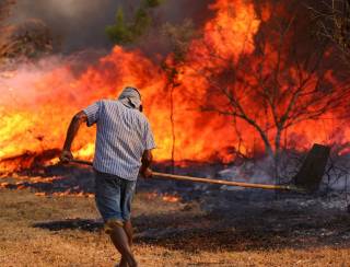 Lula e chefes dos Poderes se reúnem para tratar sobre incêndios florestais nesta terça