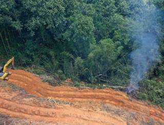 Desmatamento do Cerrado soma 1,97 milhão de campos de futebol e emite 135 mi t de CO2