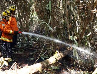 DF: após controlar incêndio, bombeiros tentam conter fogo subterrâneo