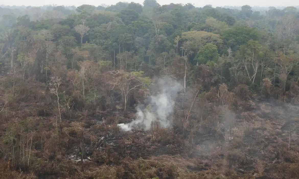 Dino determina que estados da Amazônia expliquem focos de queimadas