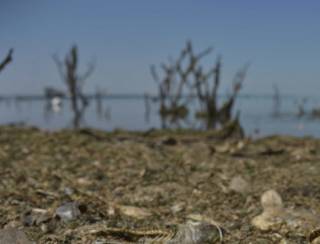 Rio Acre volta a baixar e atinge menor nível da história em Rio Branco