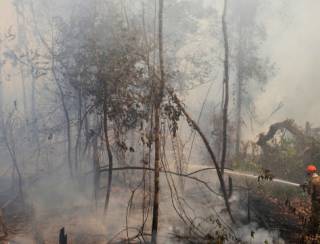 Em Mato Grosso, Corpo de Bombeiros está combatendo 50 incêndios florestais