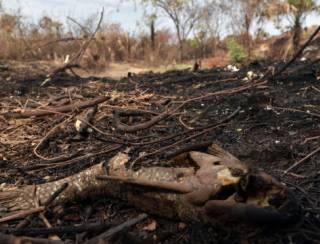 Parque da Chapada dos Veadeiros é fechado após incêndio