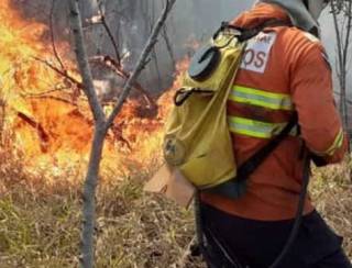 Brigadista morre durante incêndio em canavial