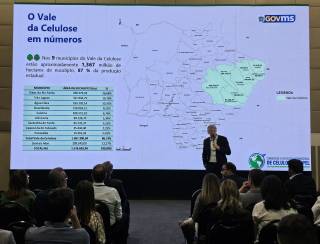 Área plantada de florestas em MS é a que mais cresce no país e chega a 1,5 milhão de hectares