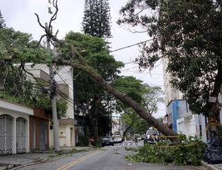 Apagão em SP: Procon notifica Enel por demora em restabelecer fornecimento de energia