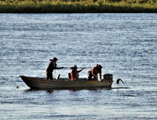 Piracema começa na próxima semana em todos os rios de Mato Grosso do Sul