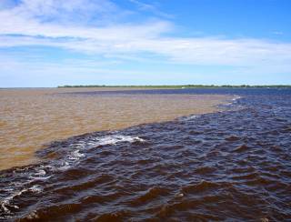 Águas dos rios Negro e Solimões voltam a baixar