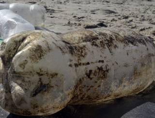 Pesquisadores identificam origem de plásticos nas praias do Ceará