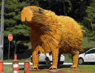 Decoração de Natal? Capivaras de bambu enfeitam cidade no Paraná e divide opiniões