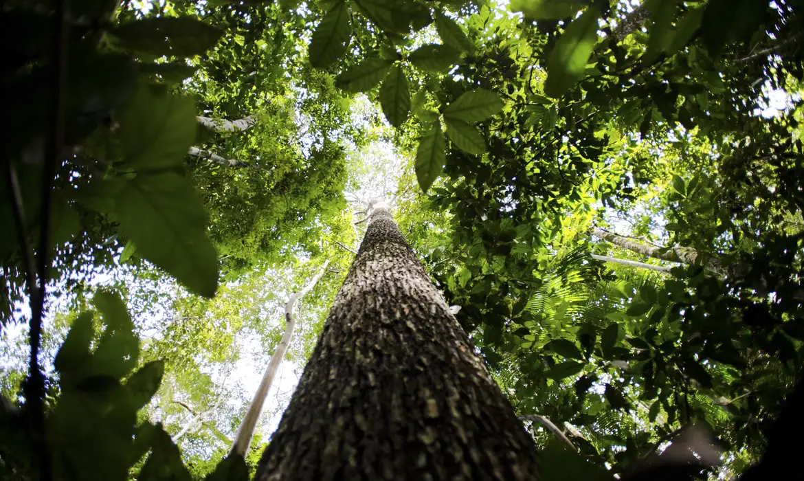 COP29 fecha acordo climático e chefe da ONU critica resultado