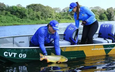 Pesca do dourado continua proibida nos rios de Mato Grosso do Sul até março de 2025