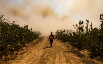 Com clima extremo, Mato Grosso do Sul tem 329 focos de incêndio em um único dia