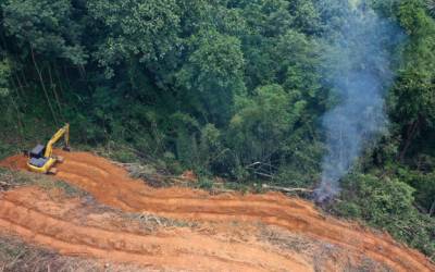 Desmatamento do Cerrado soma 1,97 milhão de campos de futebol e emite 135 mi t de CO2