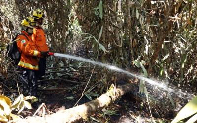 DF: após controlar incêndio, bombeiros tentam conter fogo subterrâneo