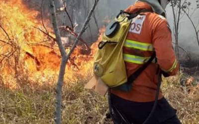 Dois brigadistas morrem durante combate a incêndio no Piauí