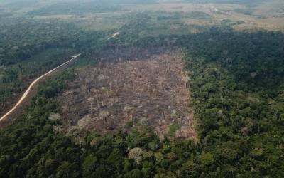 Inpe: mudanças no clima estão ligadas à perda de áreas naturais