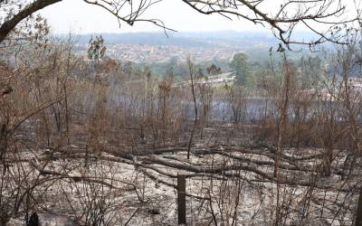 SP registra mais de 6,7 mil focos de incêndio desde janeiro