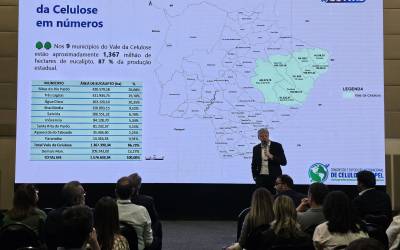 Área plantada de florestas em MS é a que mais cresce no país e chega a 1,5 milhão de hectares