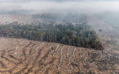 Brasil registra mais de 22 milhões de hectares de área queimada